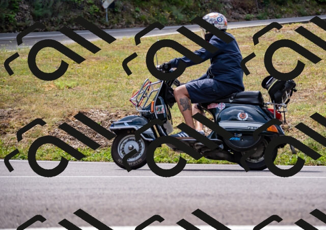 202508171213-_DSC5241_d2_