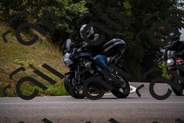 202508171215-_DSC5250_d2_