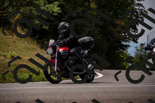 202508171215-_DSC5251_d2_