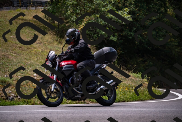 202508171215-_DSC5252_d2_