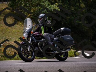 202508171215-_DSC5253_d2_