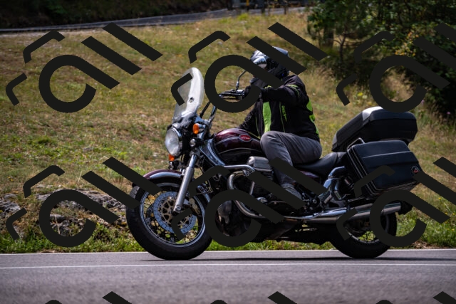 202508171215-_DSC5254_d2_