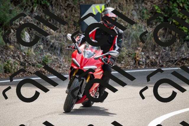 202508171218-_DSC5261_d2_