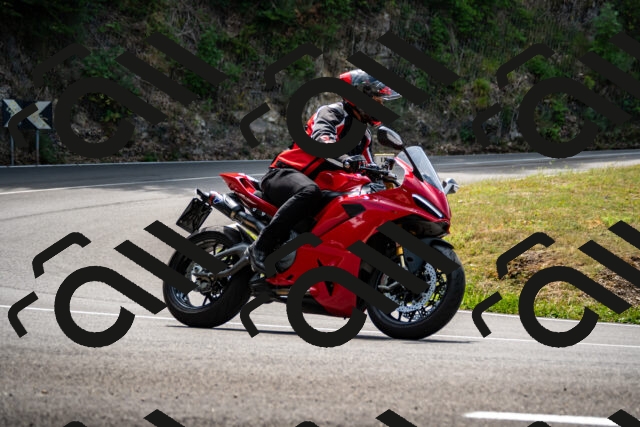 202508171218-_DSC5263_d2_