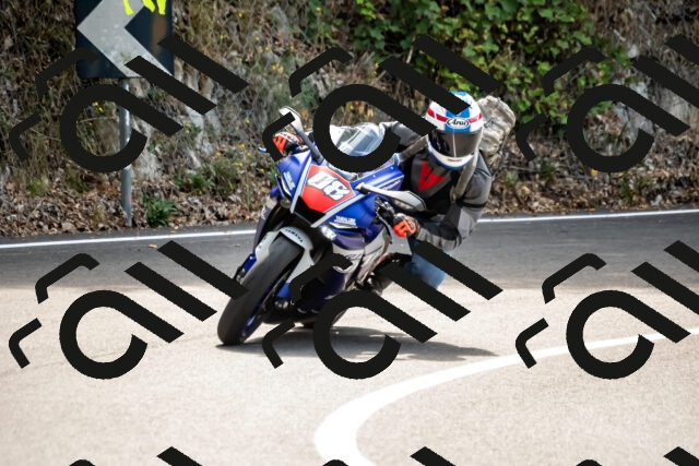 202508171219-_DSC5266_d2_