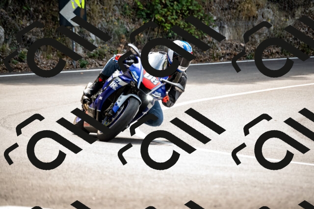 202508171219-_DSC5267_d2_