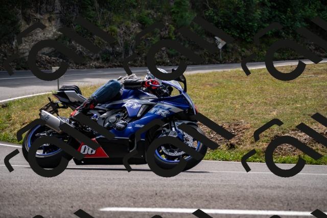 202508171219-_DSC5269_d2_