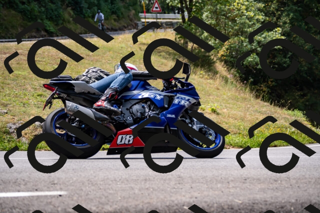 202508171219-_DSC5270_d2_