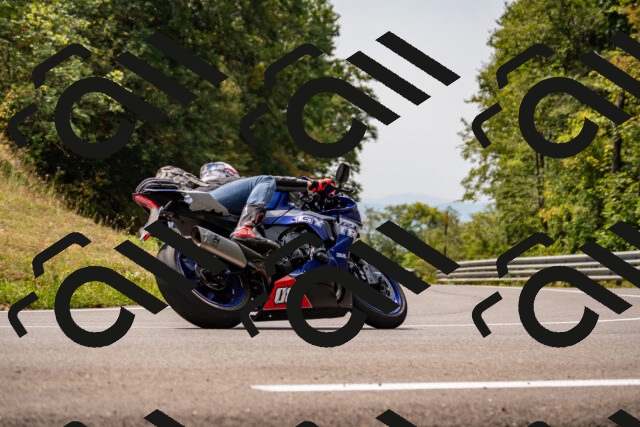 202508171219-_DSC5271_d2_