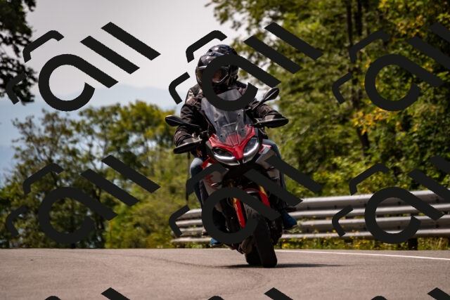 202508171226-_DSC5272_d2_