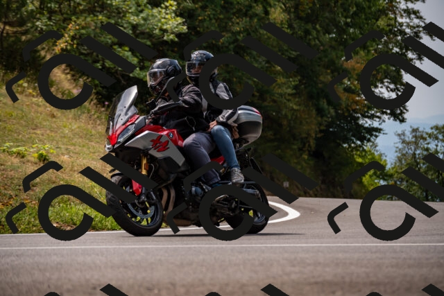 202508171226-_DSC5273_d2_