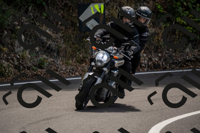 202508171227-_DSC5277_d2_