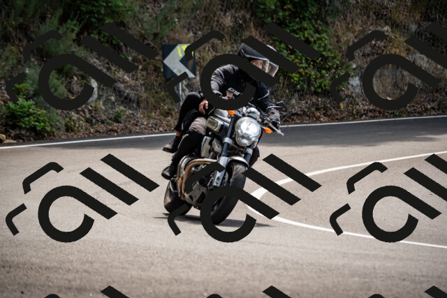 202508171227-_DSC5278_d2_