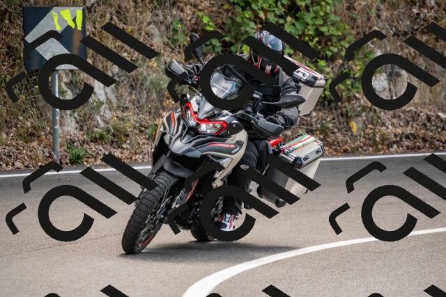 202508171230-_DSC5285_d2_