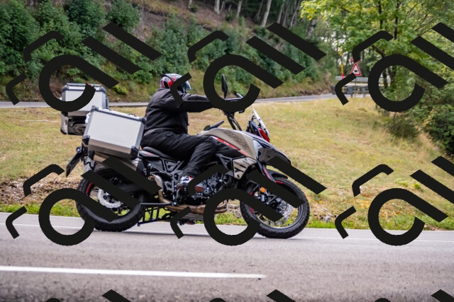 202508171230-_DSC5288_d2_