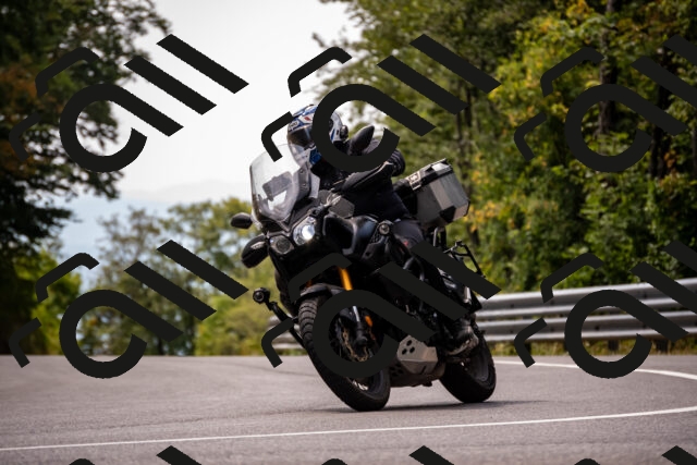 202508171232-_DSC5296_d2_