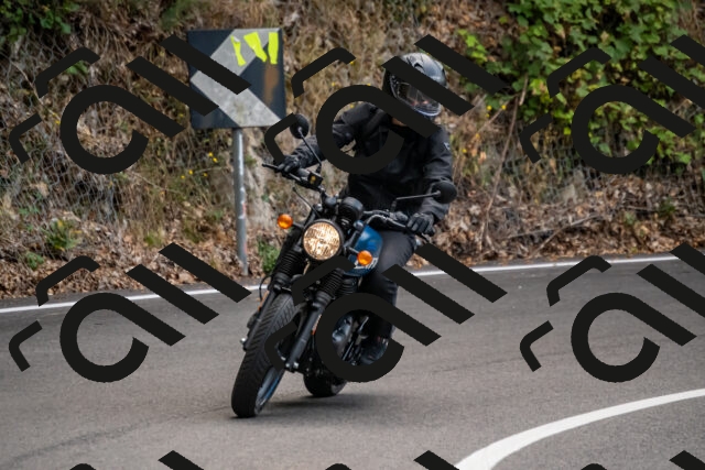 202508171237-_DSC5306_d2_