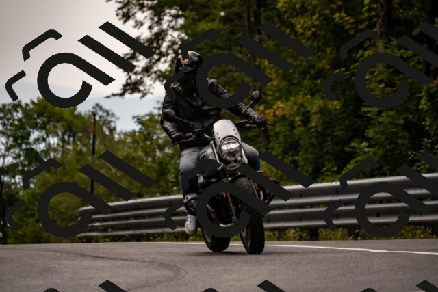 202508171239-_DSC5310_d2_