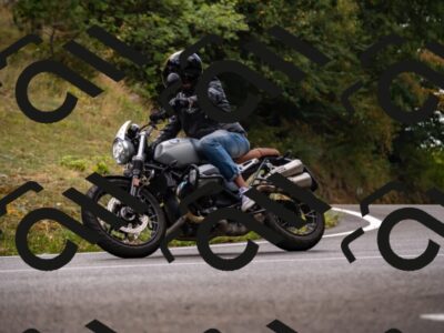 202508171239-_DSC5312_d2_