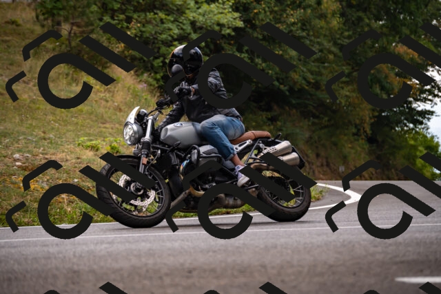 202508171239-_DSC5312_d2_