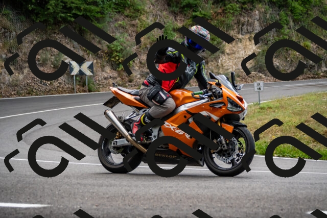 202508171239-_DSC5315_d2_