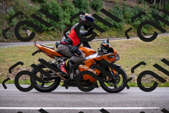 202508171239-_DSC5316_d2_