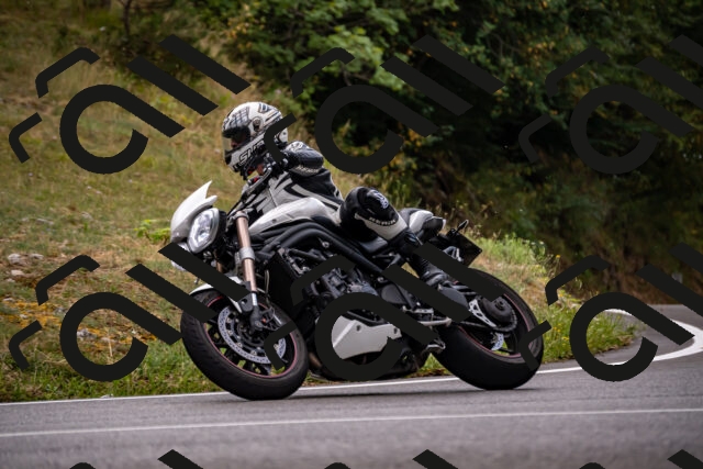 202508171240-_DSC5322_d2_