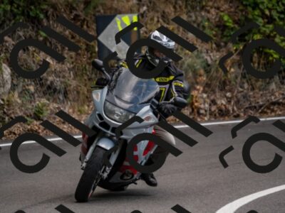 202508171240-_DSC5324_d2_