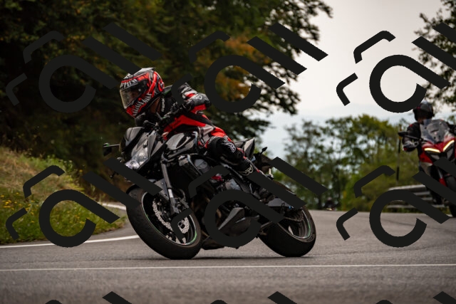 202508171241-_DSC5332_d2_