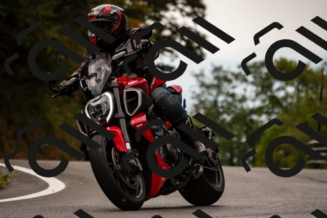 202508171241-_DSC5336_d2_