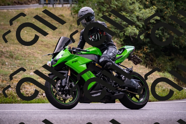 202508171241-_DSC5341_d2_