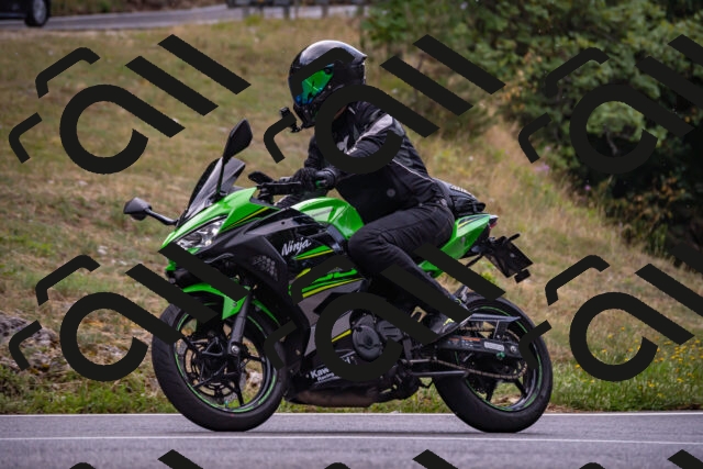 202508171242-_DSC5351_d2_