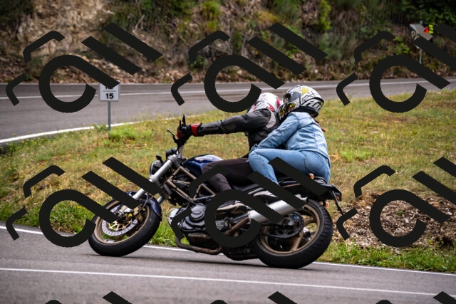 202508171245-_DSC5365_d2_