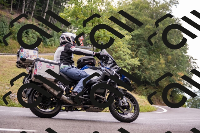 202508171245-_DSC5369_d2_