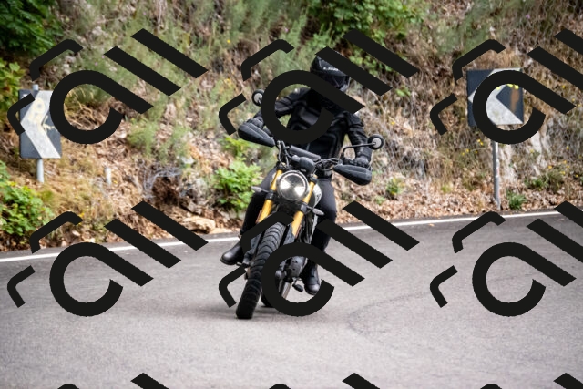 202508171248-_DSC5370_d2_