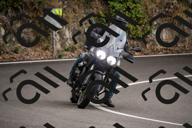 202508171251-_DSC5374_d2_