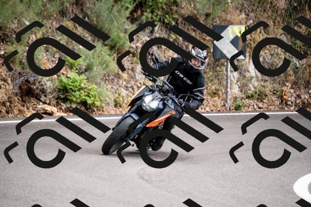 202508171258-_DSC5380_d2_