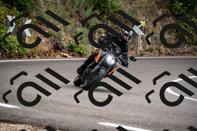 202508171258-_DSC5381_d2_