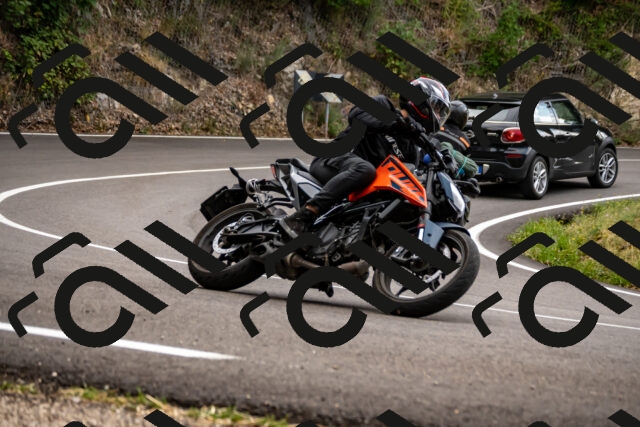 202508171258-_DSC5382_d2_