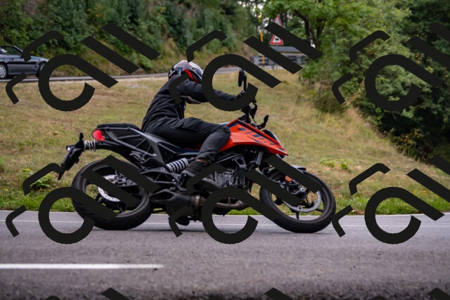 202508171259-_DSC5383_d2_