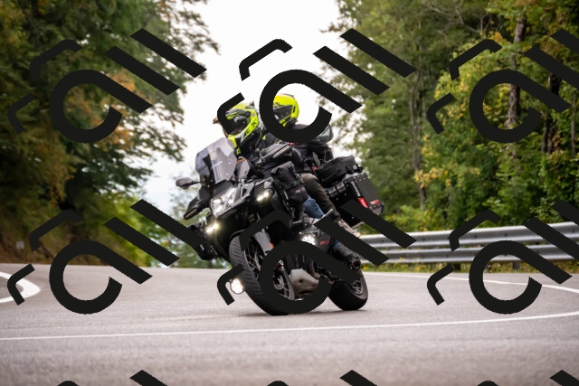 202508171259-_DSC5389_d2_