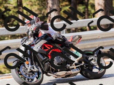 202508171015-_04A1879_c3