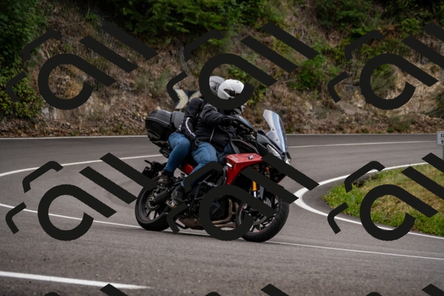 202508171300-_DSC5397_d2_