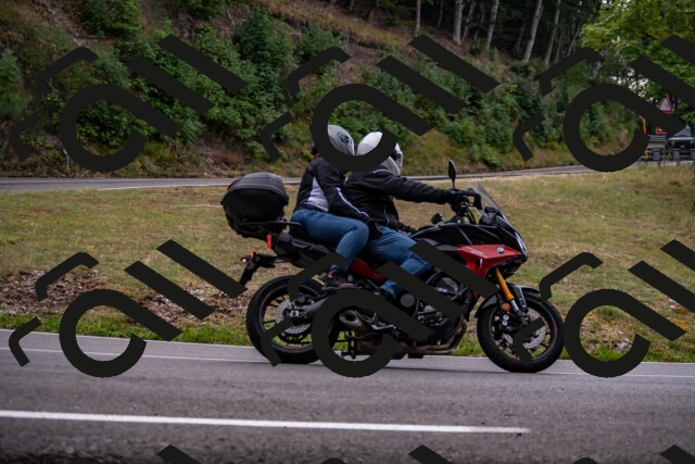 202508171300-_DSC5398_d2_