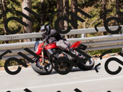 202508171056-_04A2283_c3