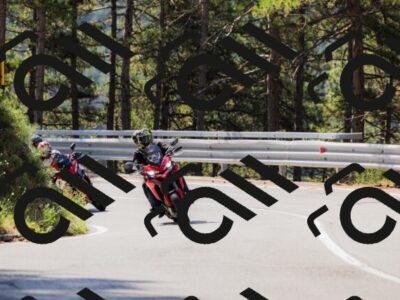 202508171059-_04A2351_c3