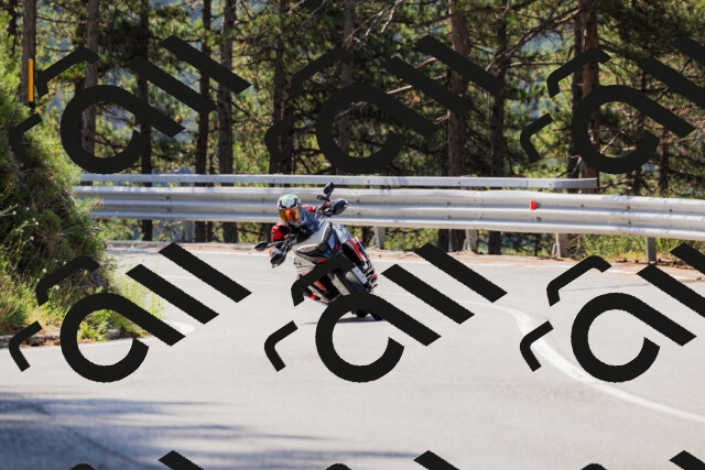 202508171101-_04A2380_c3