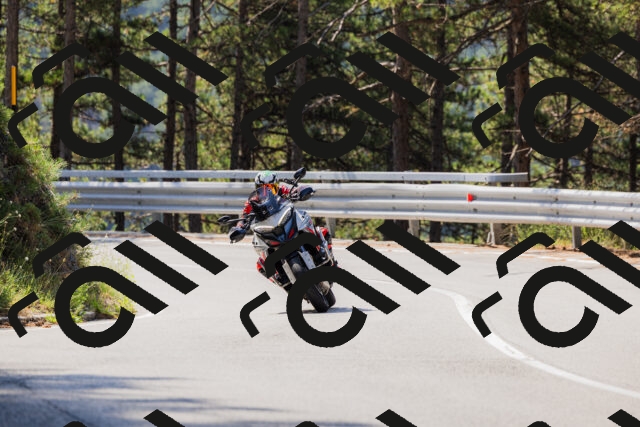 202508171101-_04A2381_c3