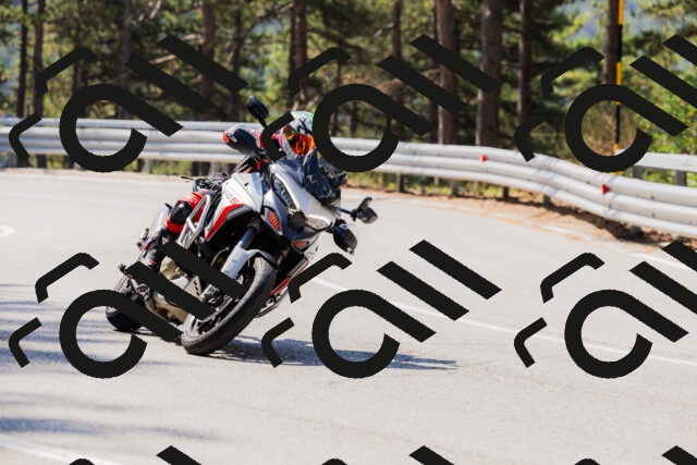 202508171101-_04A2384_c3