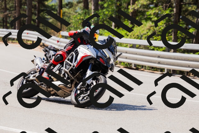 202508171101-_04A2385_c3